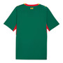 Senegal 2026 Stadium Men's Home Shirt