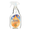 Earth Friendly Window Cleaner - Vinegar - Case Of 6 - 22 Fl Oz