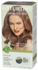 Naturtint Hr Clr 6g Drk Blonde Gldn - Case of 3 - 5.750 FO