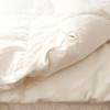 Naturepedic Organic Wool Duvet Insert