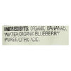 Earth's Best Organic Banana Blueberry Baby Food Puree - Stage 2 - Case Of 12 - 4 Oz.