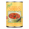 Amy's - Organic Chunky Vegetable Soup - Case Of 12 - 14.3 Oz
