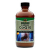 Nature's Answer - Liquid Co-q10 - 8 Fl Oz