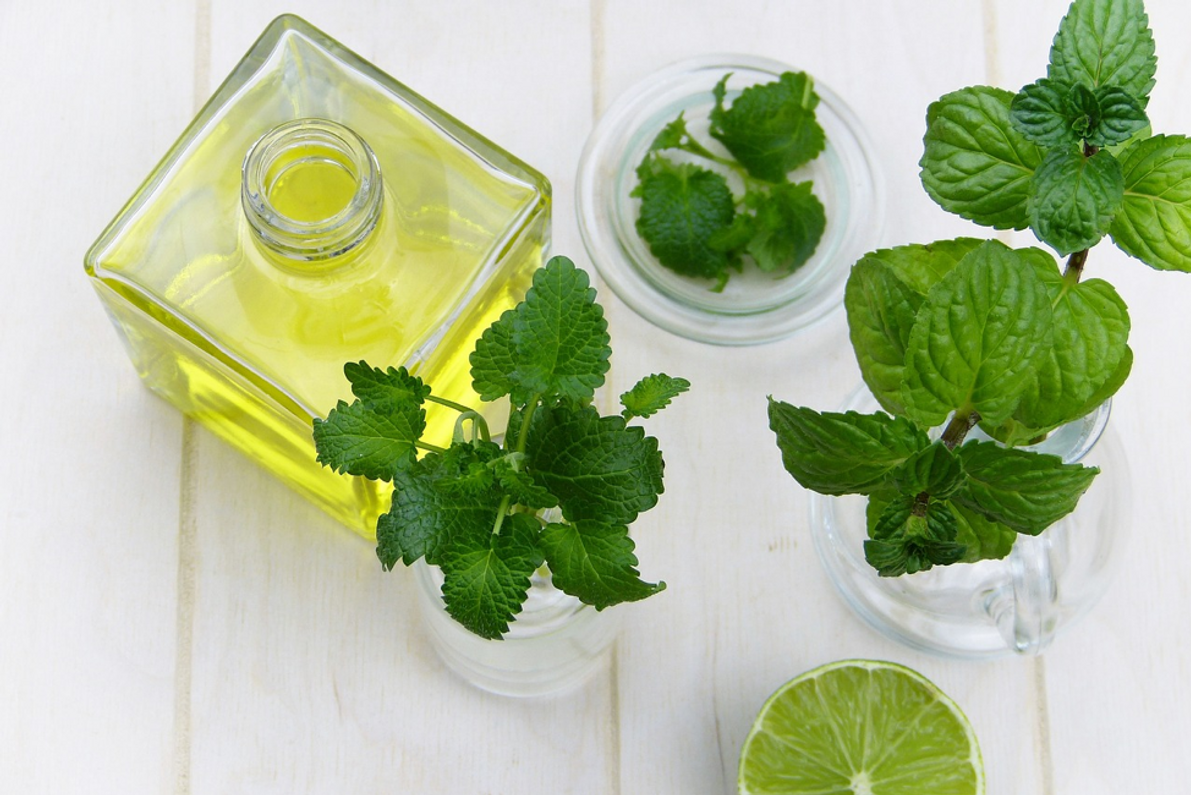 3 Natural Oils to Soothe and Heal Itchy, Irritated Bug Bites