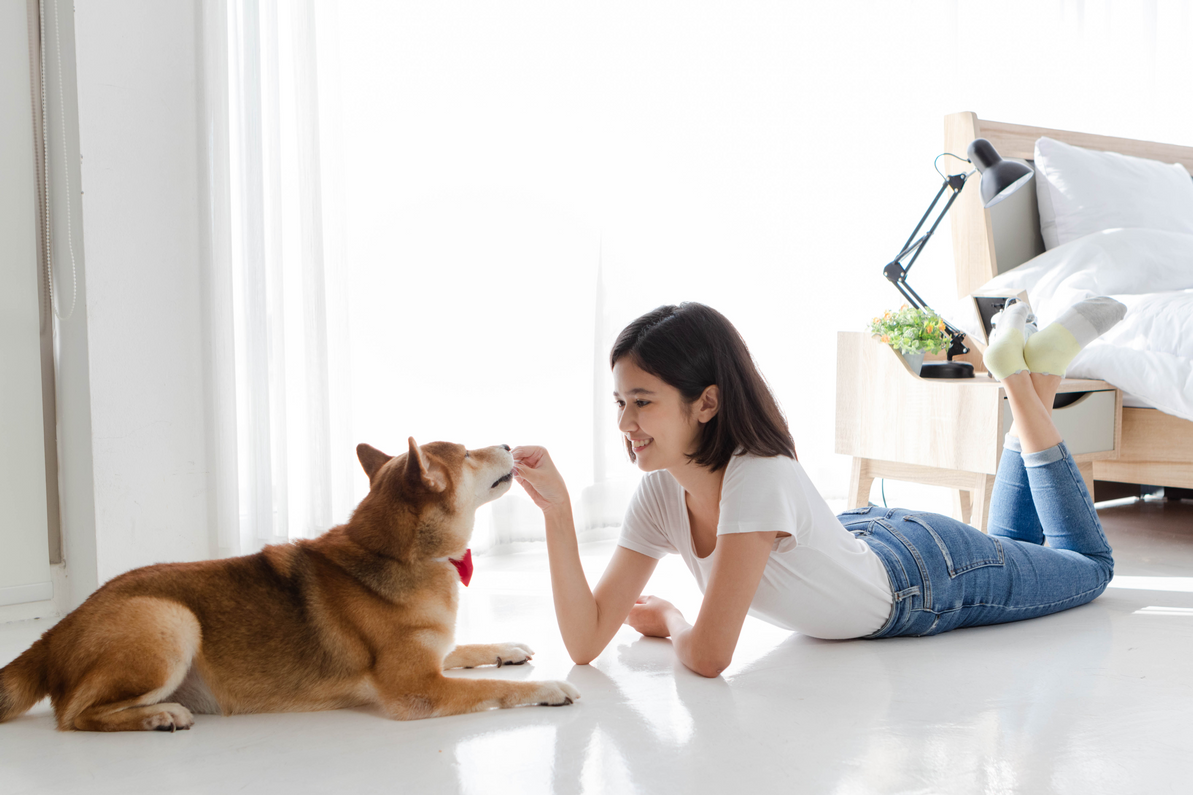 5 Reasons To Give Your Pet Natural Treats