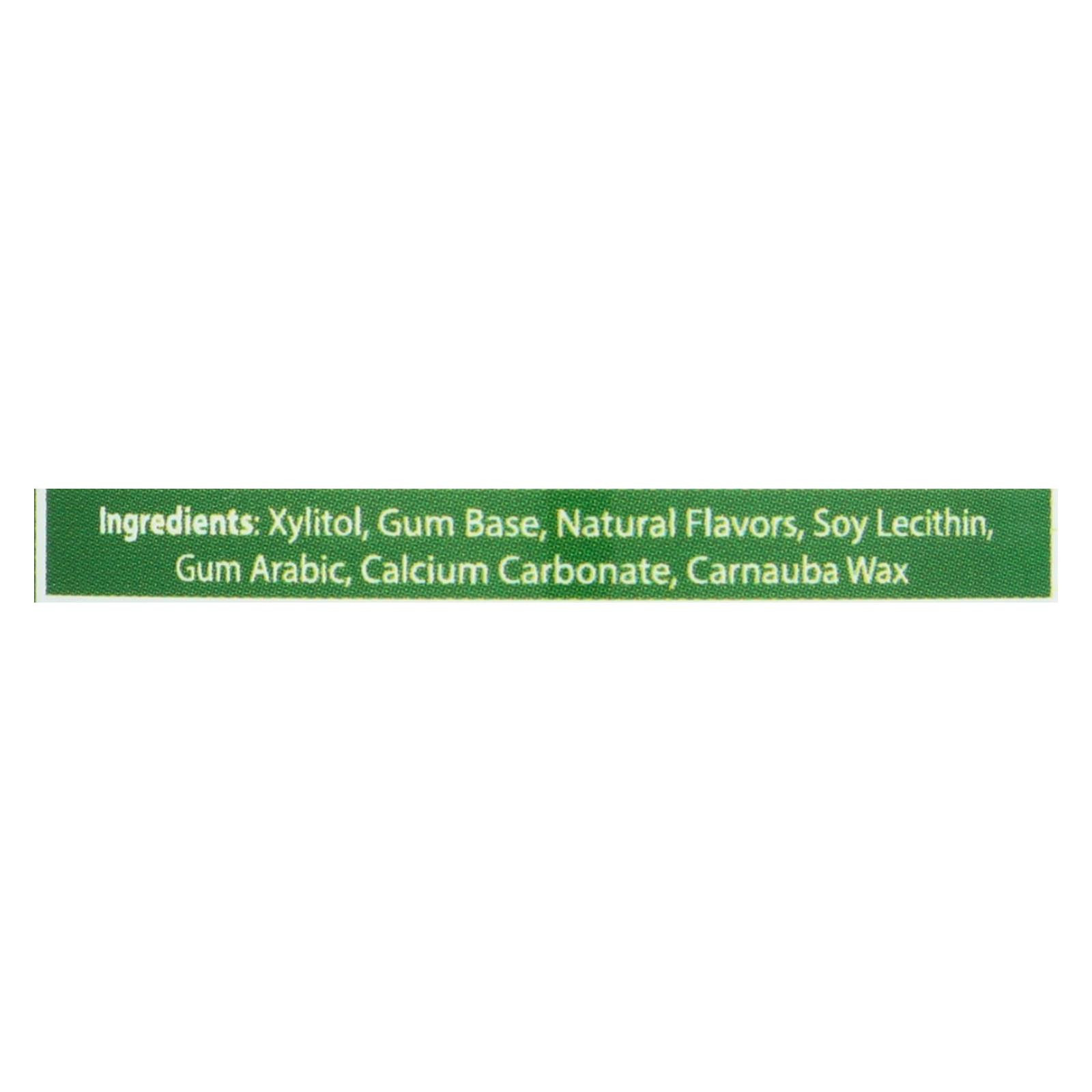Epic Dental Spearmint Toothpaste - Fluoride Free - 4.9 Oz