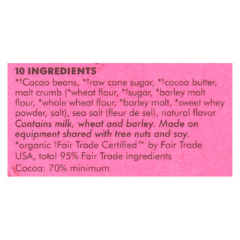 Alter Eco Americas Organic Chocolate Bar - Dark Salt & Malt - Case Of 12 - 2.82 Oz