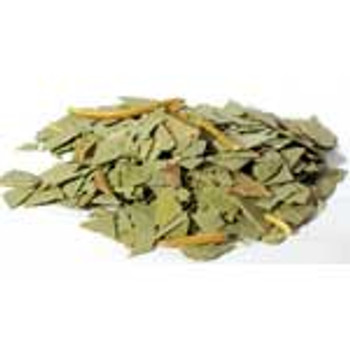 Eucalyptus Cut 2oz (eucalyptus Globulus)