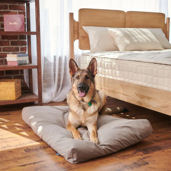 Naturepedic Pet Bed (Includes Waterproof Cover)