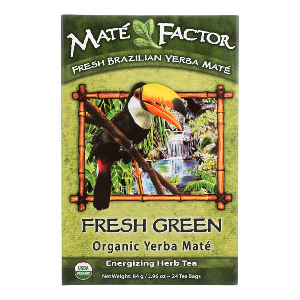Mate Factor Tea Yerba Fresh Grn Org - Case of 6 - 24.00 BG