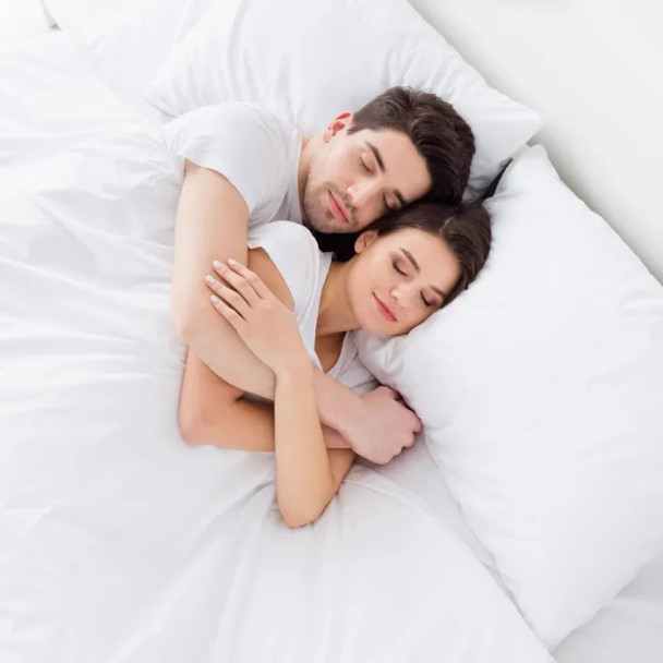 Naturepedic Down Pillow With Organic Cotton Fabric