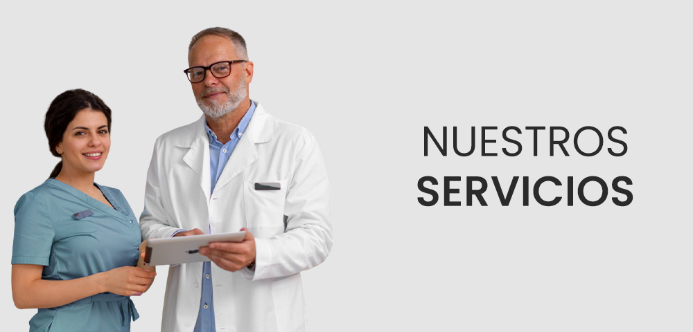 Consulta nuestro stock y precios
