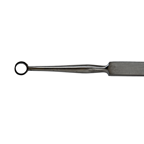 Delasco DFC-4 Fox Curette 5 1/2", 4mm, Disposable