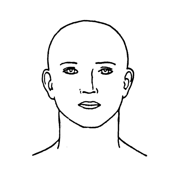 Delasco AST20 Frontal Face & Neck Sticker, 2 1/2" x 3", Pack of 100