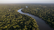 The Amazon Rainforest: Why It Matters