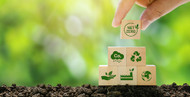 Step-By-Step Guide for Updating Existing Packaging to Eco-Friendly Alternatives