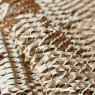 Why It’s Time to Ditch Plastic Packaging — and How ASC Direct Can Help You Make the Switch