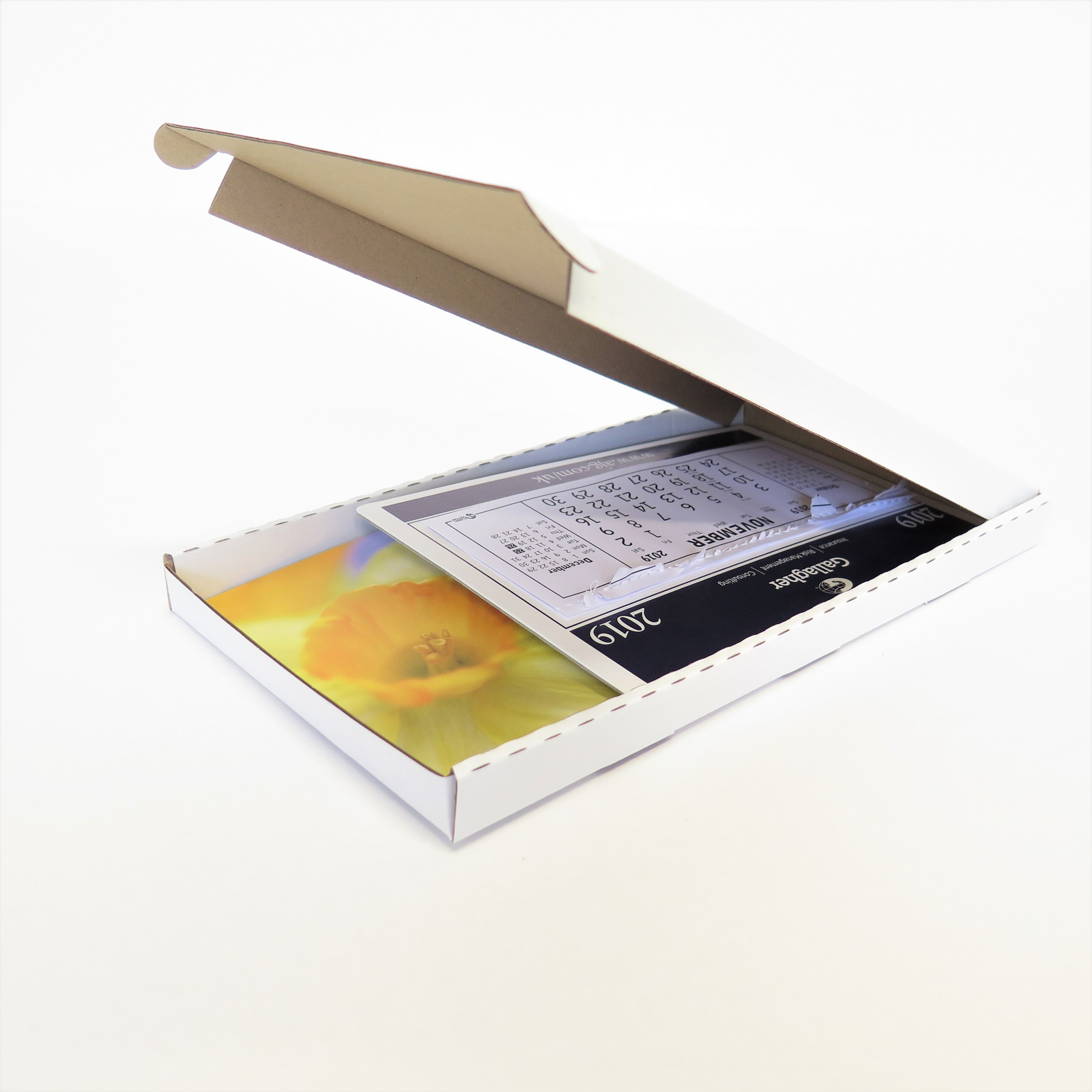 White Envelope Boxes ASC Direct