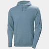 Classic Logo 2.0 Hoodie | Helly Hansen | All Safety