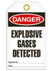 Danger - Explosive Gases Detected | Pack /25 | INCOM TG1066