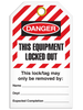 Lockout "this Equipment Locked Out" Striped Tag - 25/pkg TG6026