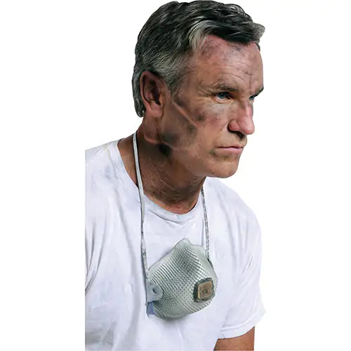 2700 Particulate Respirators, N95, NIOSH Certified, Large/Medium | Box of 10 | Moldex | All Safety