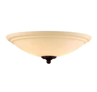 Salon Two Light Fan Light Kit (51|FLG-1400-129)