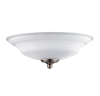 Salon Two Light Fan Light Kit (51|FLG-1200-187)