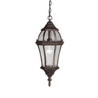 Townhouse One Light Outdoor Pendant (12|9892TZ)