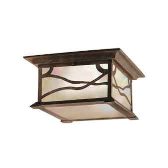 Morris Two Light Outdoor Ceiling Mount (12|9838DCO)