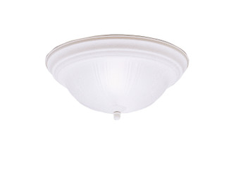 No Family Two Light Flush Mount (12|8654SC)