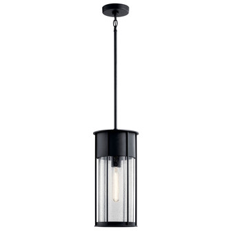 Camillo One Light Outdoor Pendant (12|59082BKT)