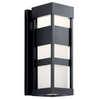 Ryler LED Outdoor Wall Mount (12|59036BKLED)