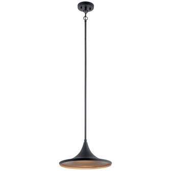 Elias LED Outdoor Pendant (12|59031BKTLED)