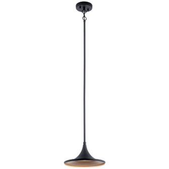 Elias LED Outdoor Pendant (12|59030BKTLED)