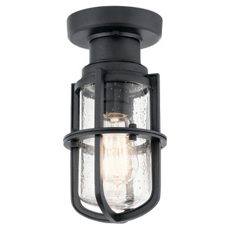 Suri One Light Outdoor Ceiling Mount (12|49861BKT)