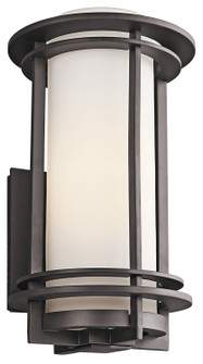 Pacific Edge One Light Outdoor Wall Mount (12|49346AZ)
