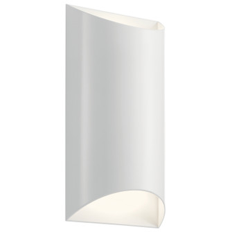 Wesley LED Outdoor Wall Mount (12|49279WHLED)