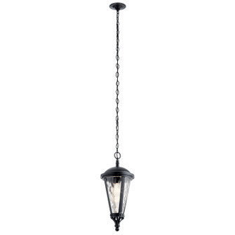 Cresleigh One Light Outdoor Pendant (12|49236BSL)