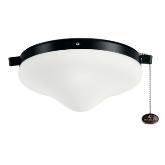 Accessory LED Fan Light Kit (12|380010SBK)