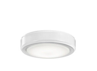 Arkwright LED Fan Light Kit (12|338203WH)