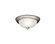 Two Light Flush Mount (12|8653NI)
