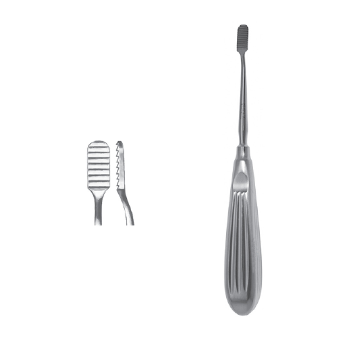 Lewis Rasp 7 1/2In Coarse | 62.173 - Millennium Surgical