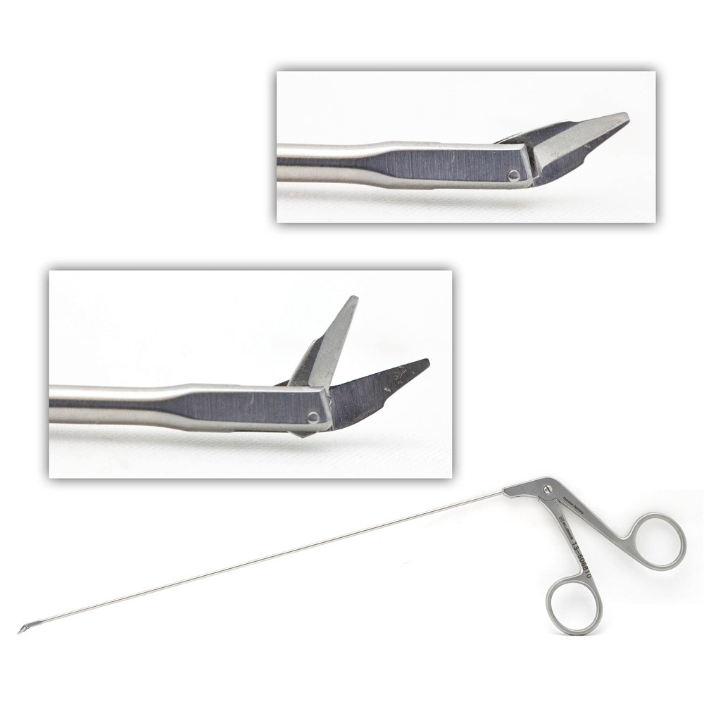 FaB】Surgical Extraction Foil 3枚 Surgical Extraction - Dynasty