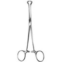 Babcock Forceps 8In