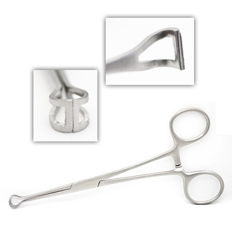 Babcock Forceps 6 1/4