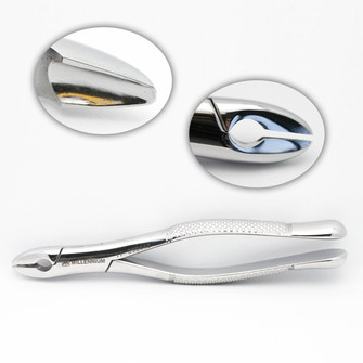 Extracting Forceps #99C