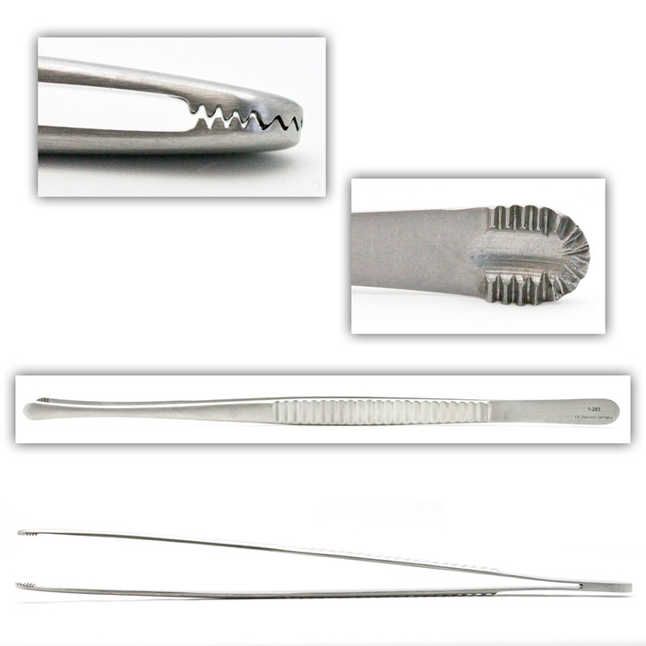 Russian Tissue Forceps 10In