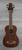 Kala RMBL-FS U-Bass Rumbler Fretted Acoustic Electric Ukulele Bass Satin Brown