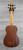 Kala RMBL-FS U-Bass Rumbler Fretted Acoustic Electric Ukulele Bass Satin Brown